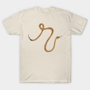 R - Rattlesnake T-Shirt